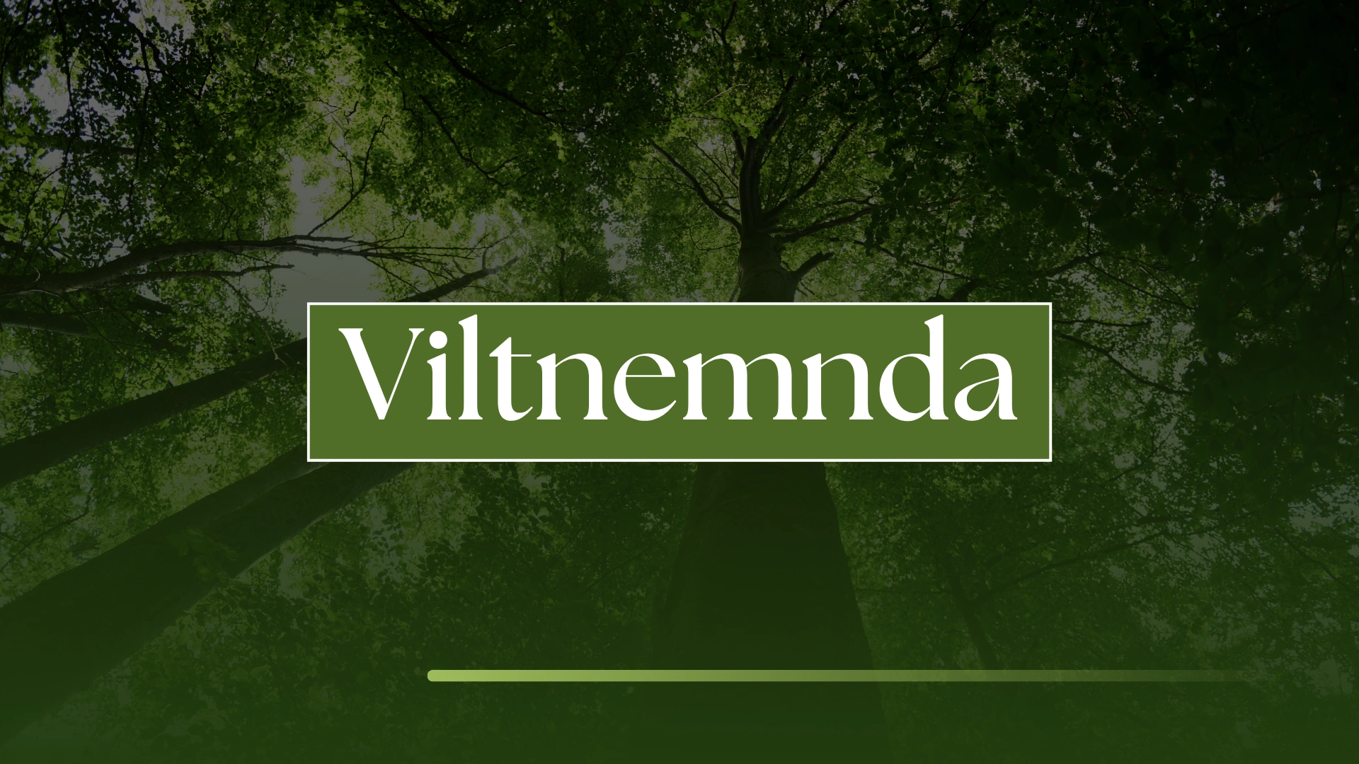 Viltnemnda: Understanding Its Role in Norwegian Wildlife Management