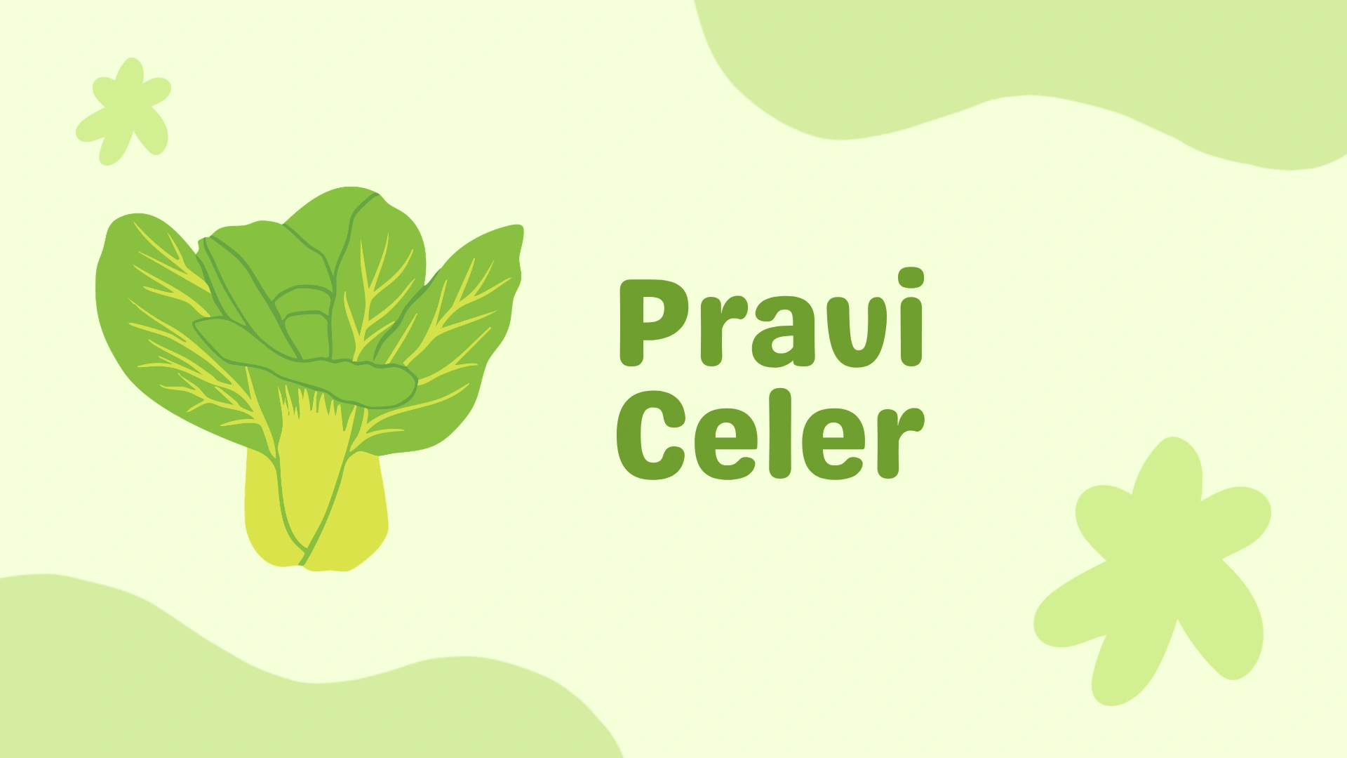 Pravi Celer: What True Celery Means and How to Use It